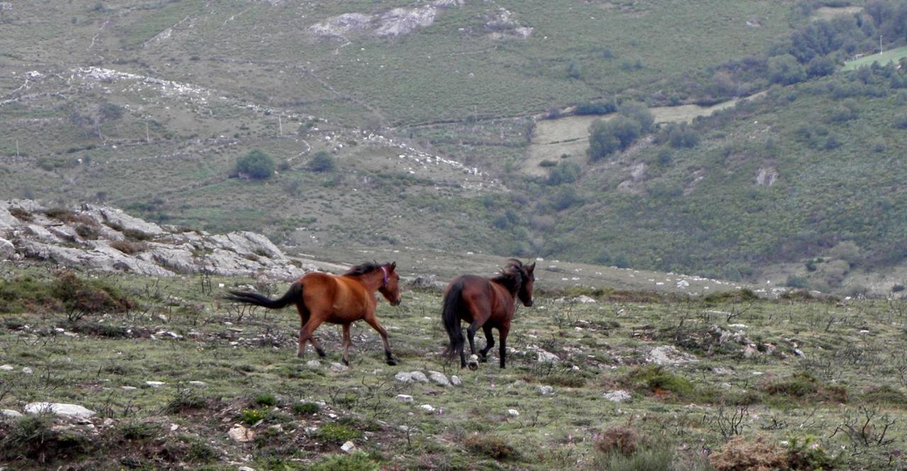 Desassossego Suites Monção Εξωτερικό φωτογραφία